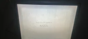 Dell 19" Monitor