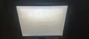 Dell 19" Monitor