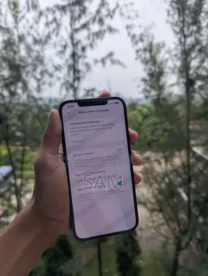 Apple iPhone 12 Pro Max 128 GB Blue
