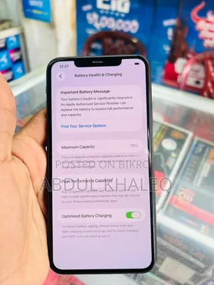 Apple iPhone 11 Pro Max 256 GB Gray