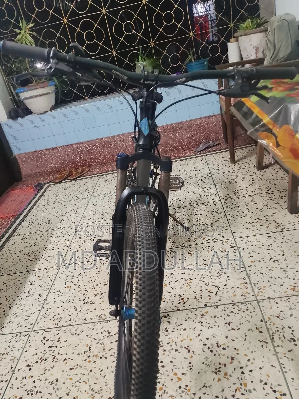 Cycle Core Nio 500