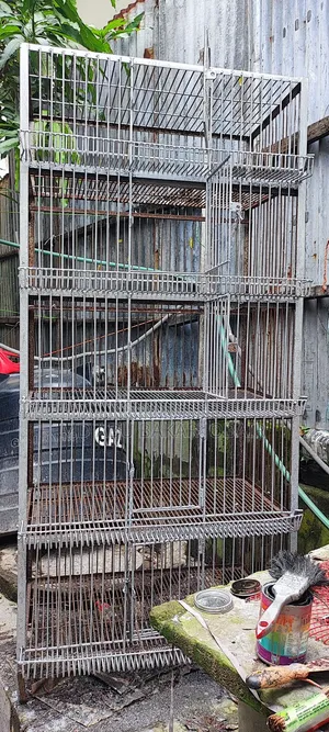 100 KG 5 Compartment Large Pigeon Cage