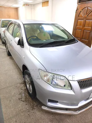 Toyota Axio 2009 Silver