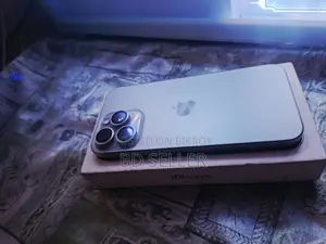 Apple iPhone 15 Pro Max 256 GB Silver