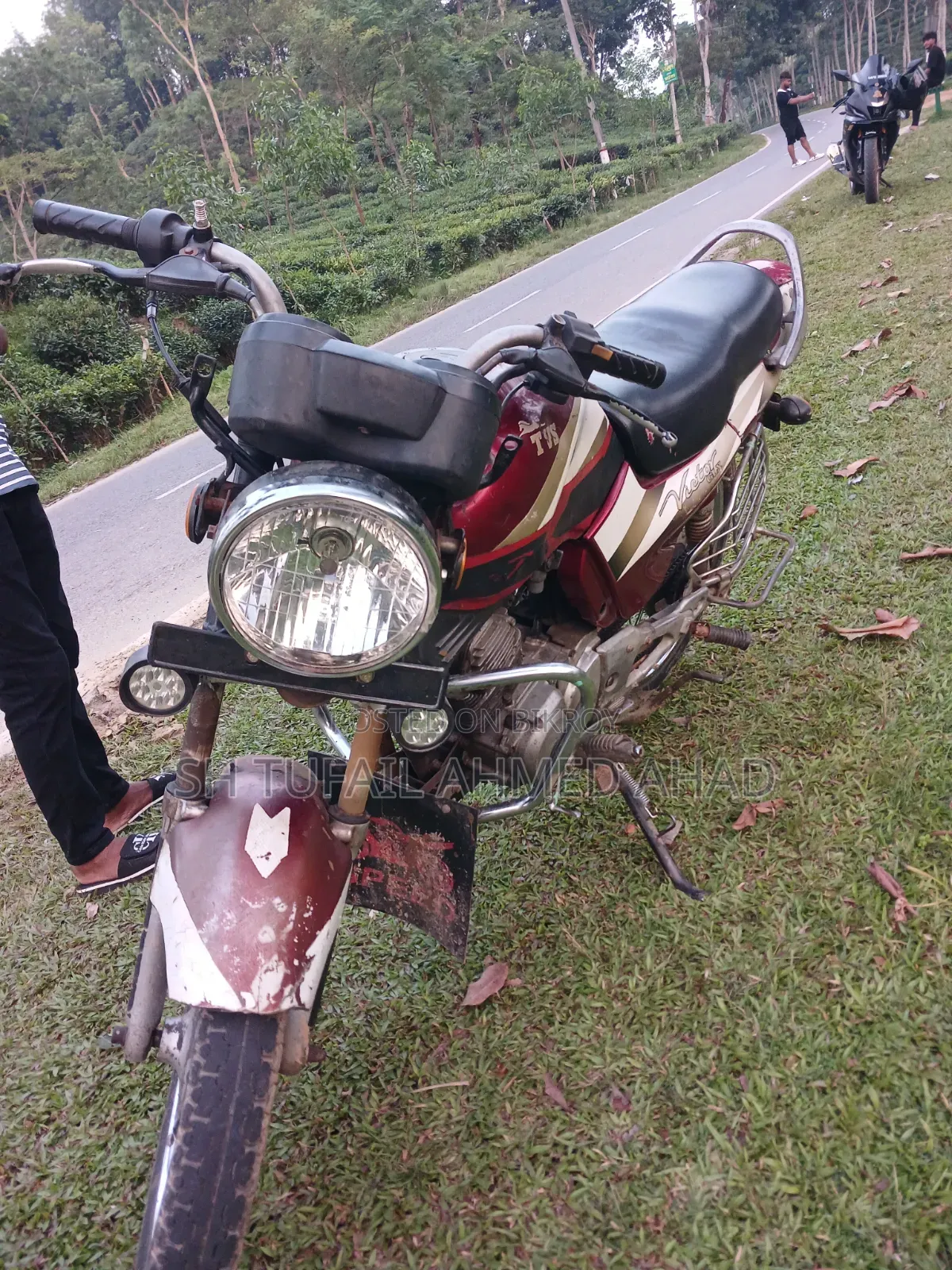 TVS 2006 Red