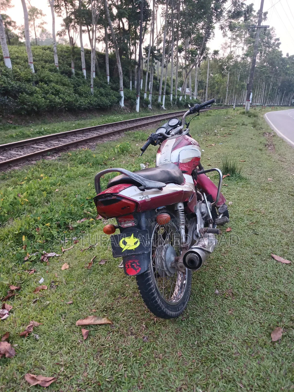TVS 2006 Red