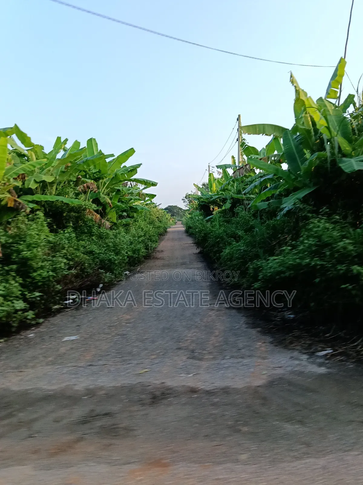 Block-P, South/East Corner 5 Katha Plot Sale