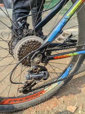 Phoenix cycle sell
