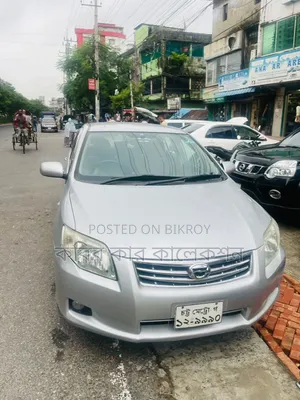 Toyota Axio 2010 Silver
