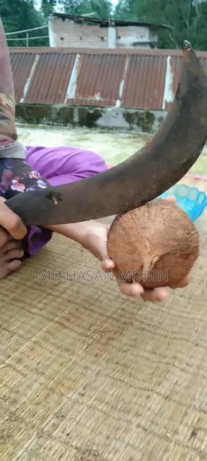 মায়ের হাতের ঘরোয়া নারিকেলের নাড়ু | সুস্বাদু ও তাজা