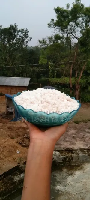 মায়ের হাতের ঘরোয়া নারিকেলের নাড়ু | সুস্বাদু ও তাজা