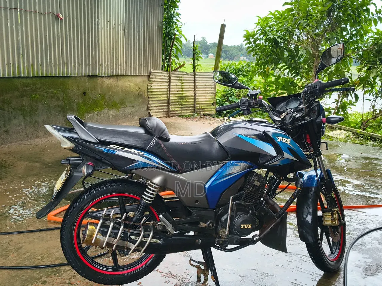 TVS Stryker 125 2019 Blue