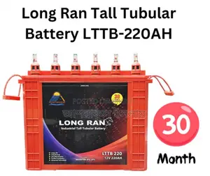 Long Ran LTTB-220Ah Industrial Tall Tubular Battery