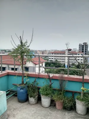 Mini Flat in Instant 8 Sep Mini, Mirpur for Rent