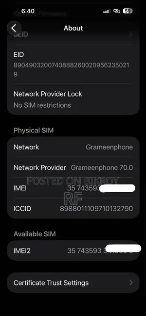 Apple iPhone 16 Pro Max 256 GB Silver