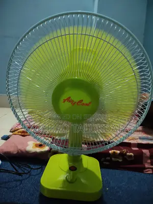 Electric Fan