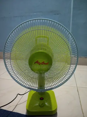 Electric Fan