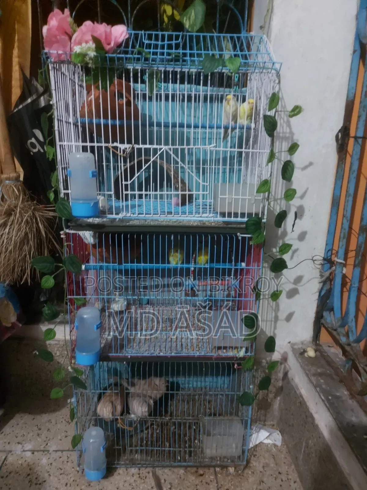 তিন তলা খাচা বিক্রয়