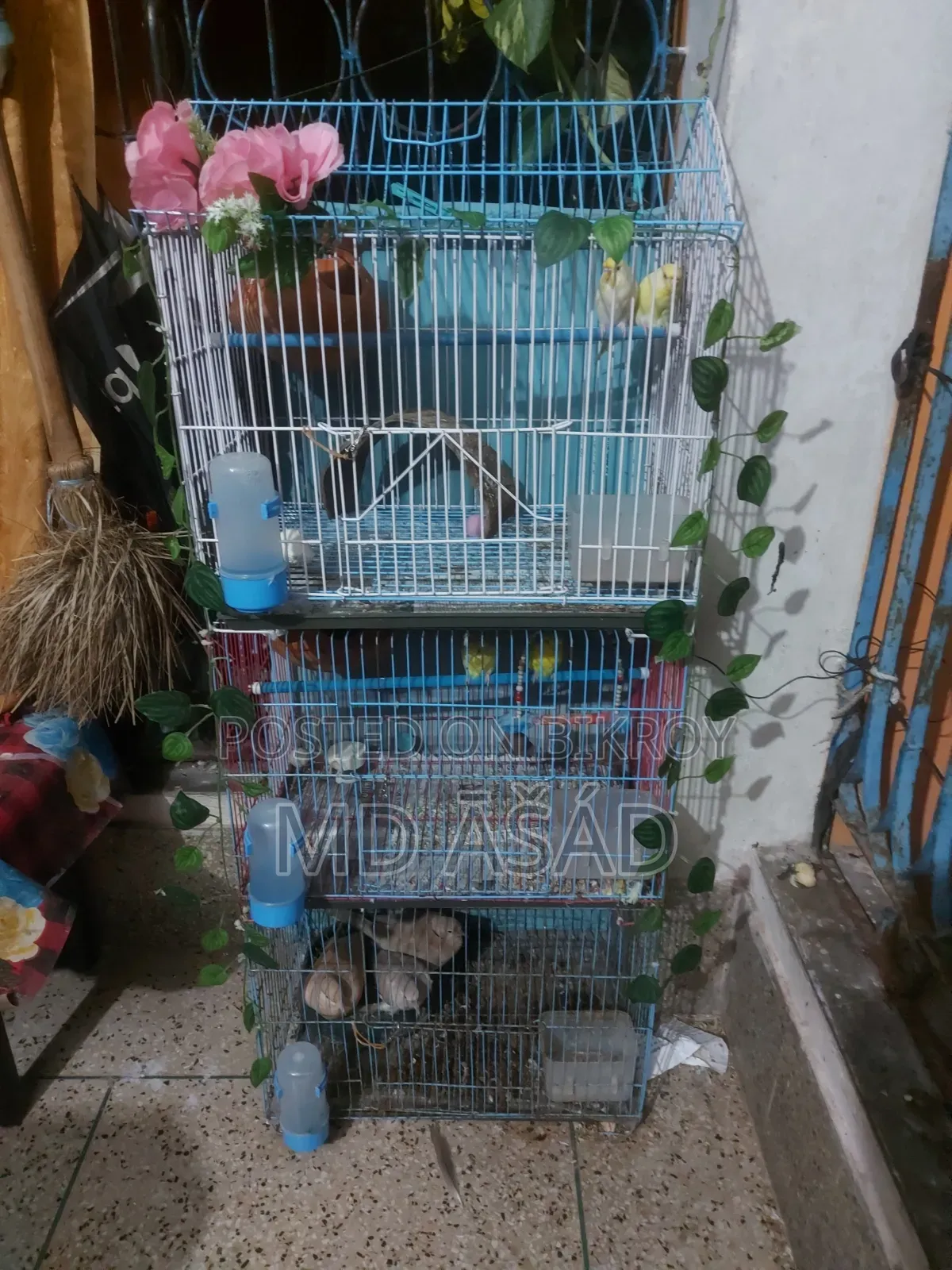 তিন তলা খাচা বিক্রয়