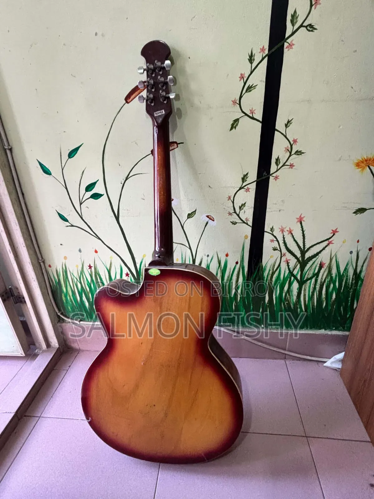 Professional Guitar