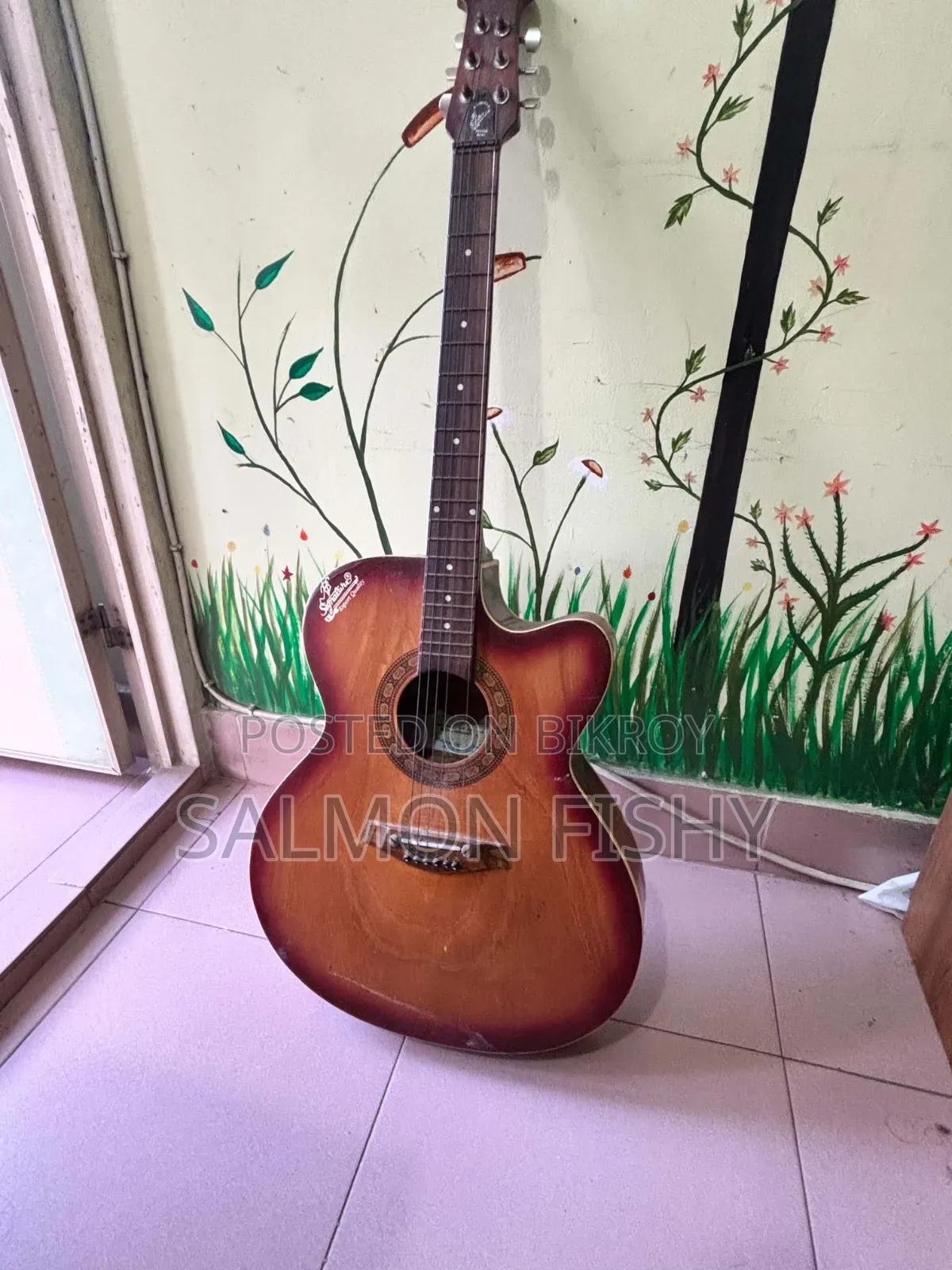 Professional Guitar