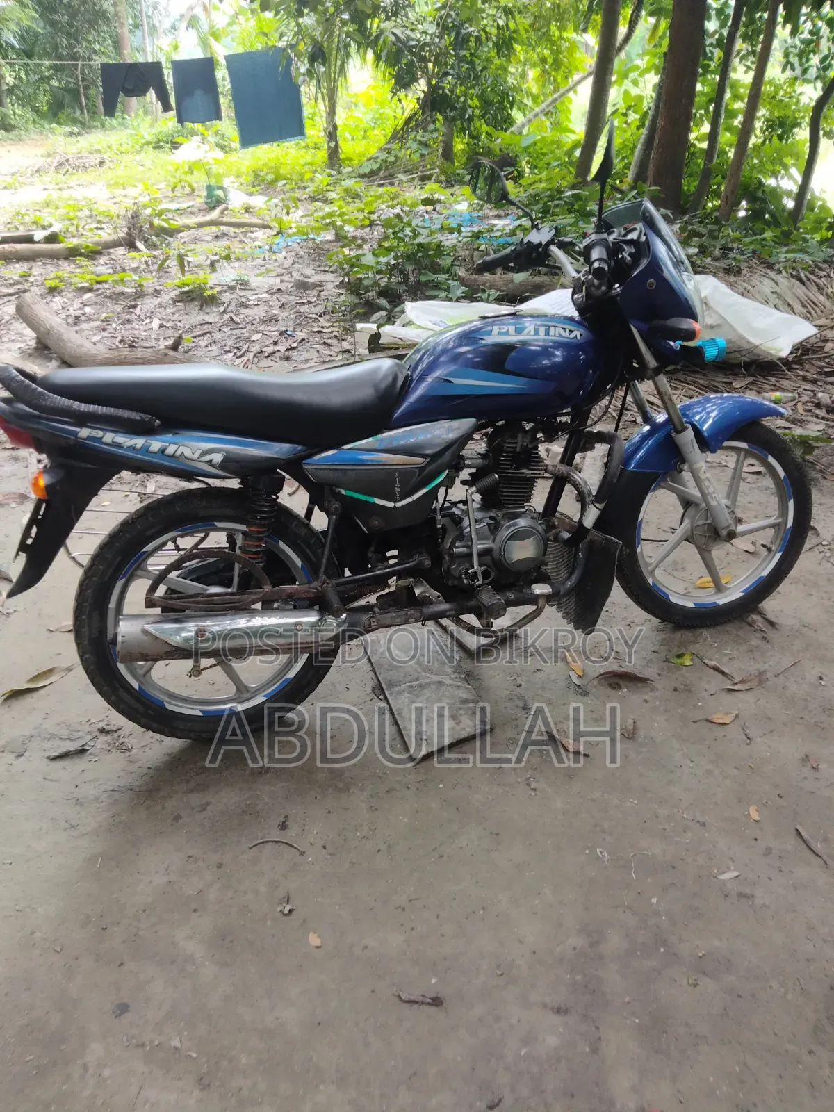 Bajaj Platina 100 2026 Blue
