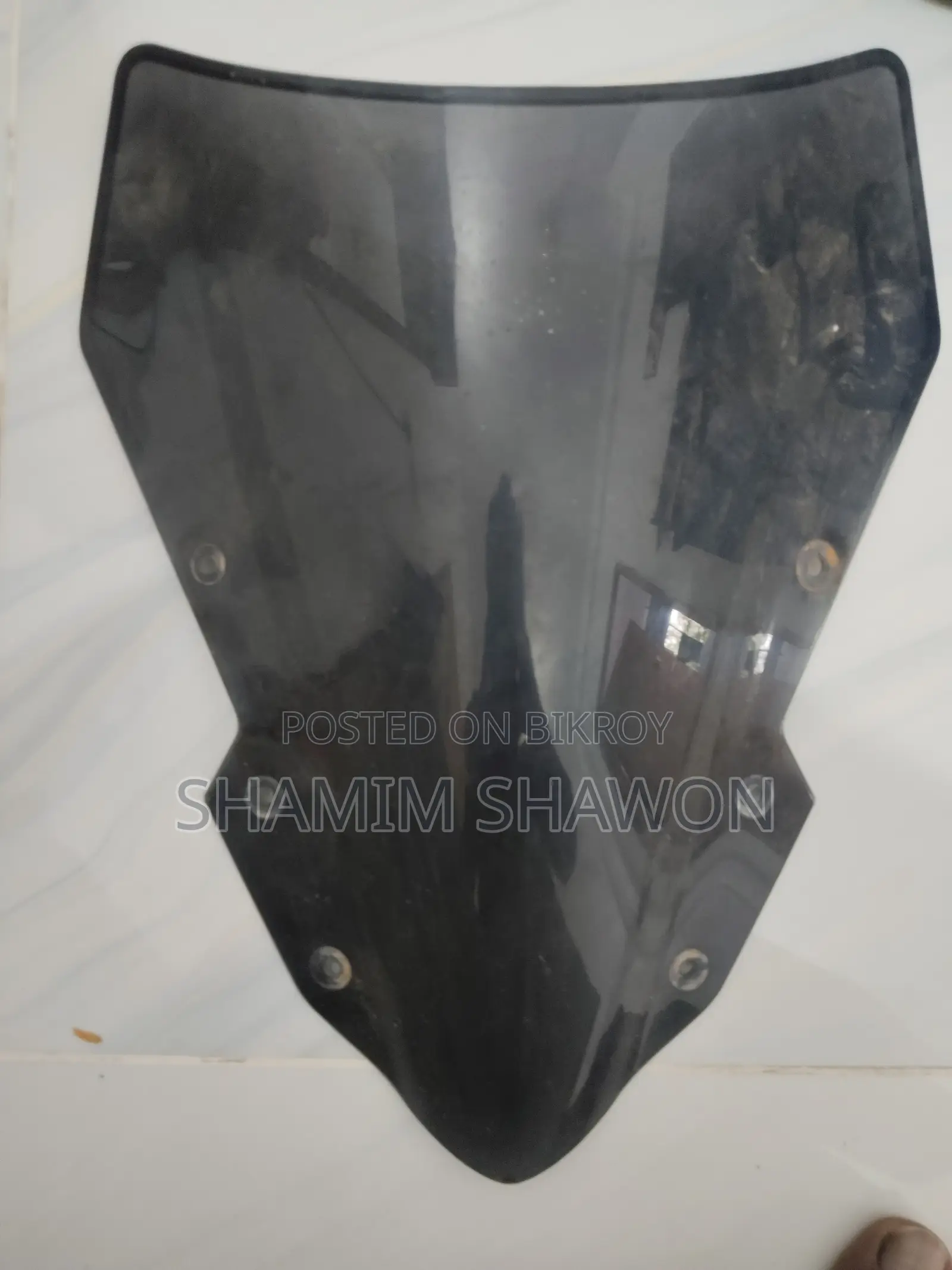Rear Mudguard Windshield (Original)