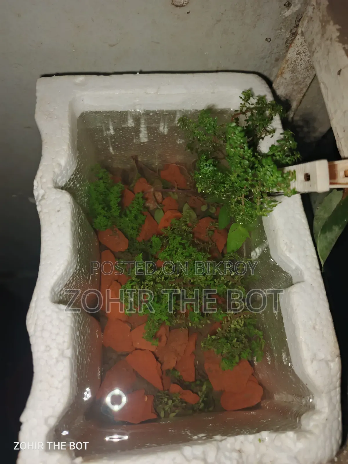 হাতে বানানো একুরিয়াম