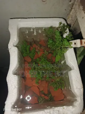 হাতে বানানো একুরিয়াম