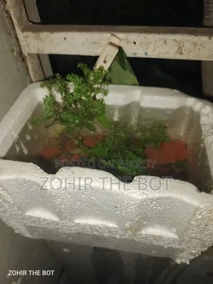 হাতে বানানো একুরিয়াম