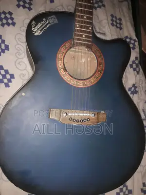 Signature Topaz 265 Acoustic Guitar