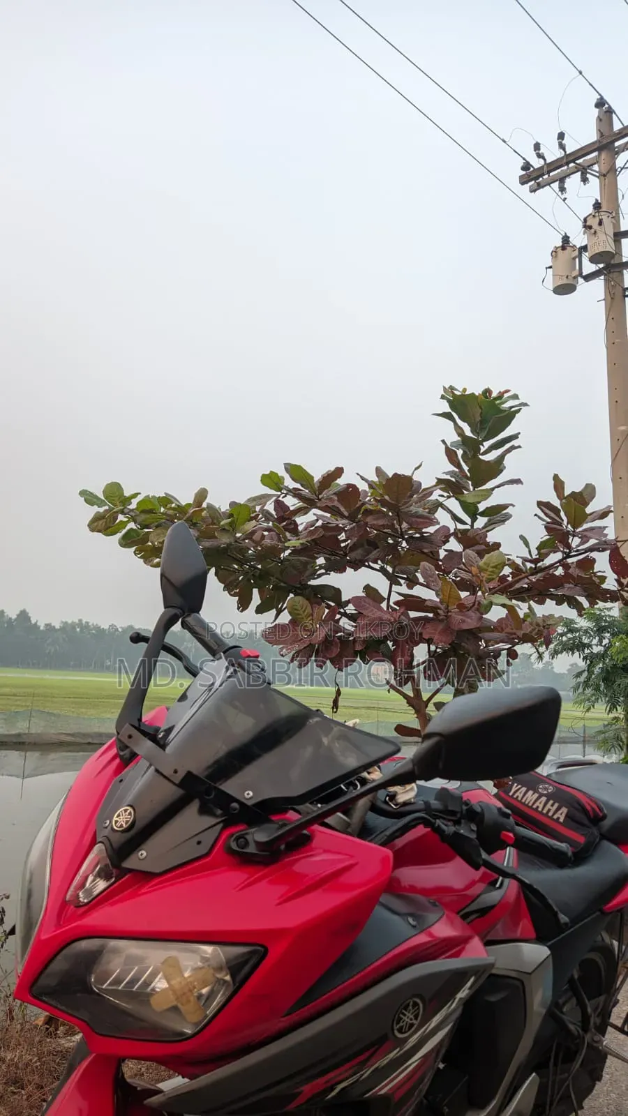 Yamaha Fazer V2 2019 Red