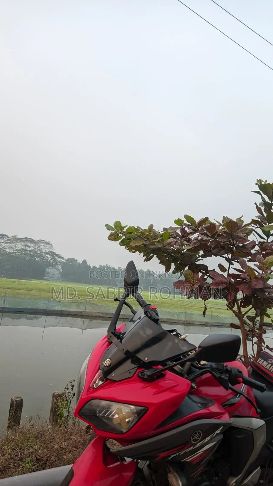 Yamaha Fazer V2 2019 Red