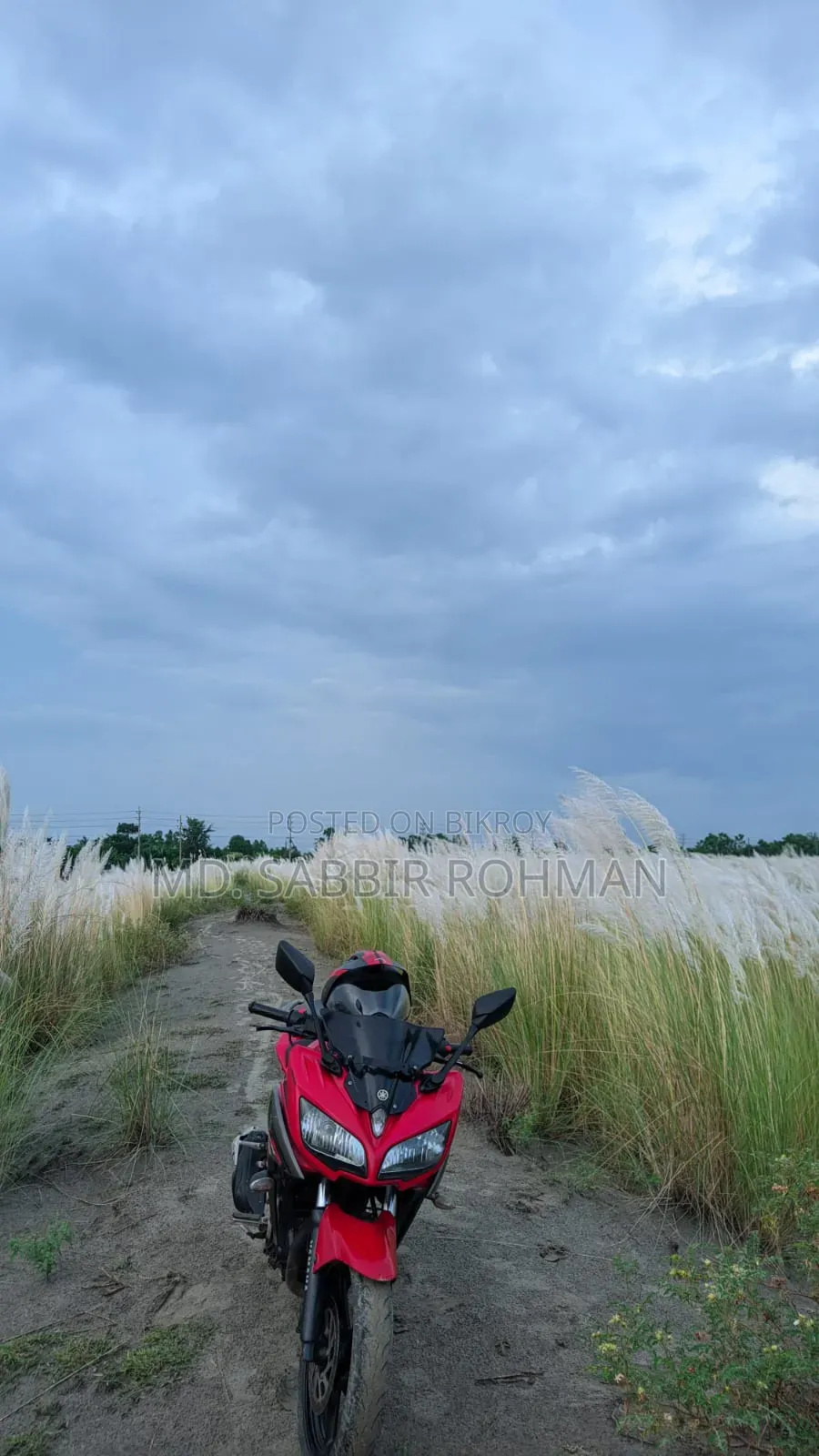 Yamaha Fazer V2 2019 Red