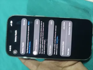 Apple iPhone 16 Pro 256 GB Silver