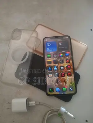 Apple iPhone 11 Pro Max 256 GB Gray