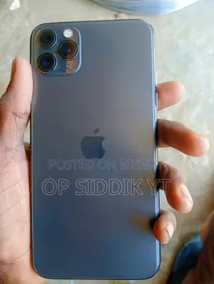 Apple iPhone 11 Pro Max 256 GB Gray
