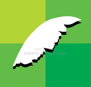 ফ্রি গ্রাফিক ডিজাইন শিখুন