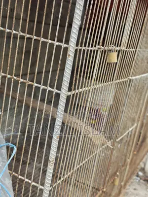৩ বাই ৪ ফিটের বড় পাখির খাঁচা 3x4 Ft Parrot Cage