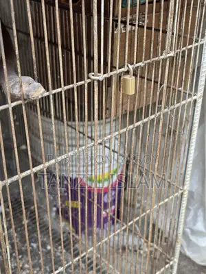 ৩ বাই ৪ ফিটের বড় পাখির খাঁচা 3x4 Ft Parrot Cage