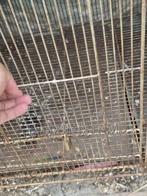 ৩ বাই ৪ ফিটের বড় পাখির খাঁচা 3x4 Ft Parrot Cage
