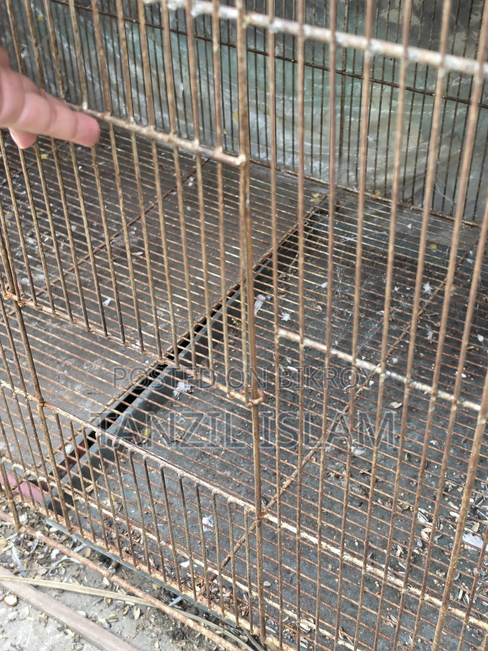 ৩ বাই ৪ ফিটের বড় পাখির খাঁচা 3x4 Ft Parrot Cage