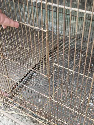 ৩ বাই ৪ ফিটের বড় পাখির খাঁচা 3x4 Ft Parrot Cage