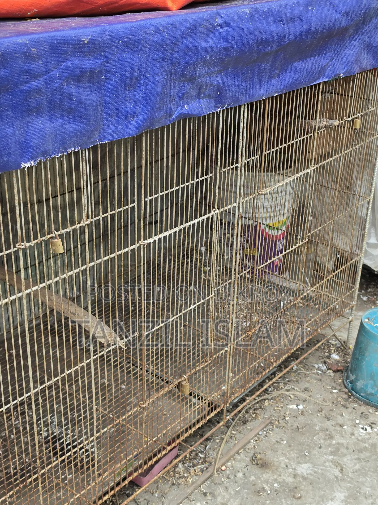 ৩ বাই ৪ ফিটের বড় পাখির খাঁচা 3x4 Ft Parrot Cage