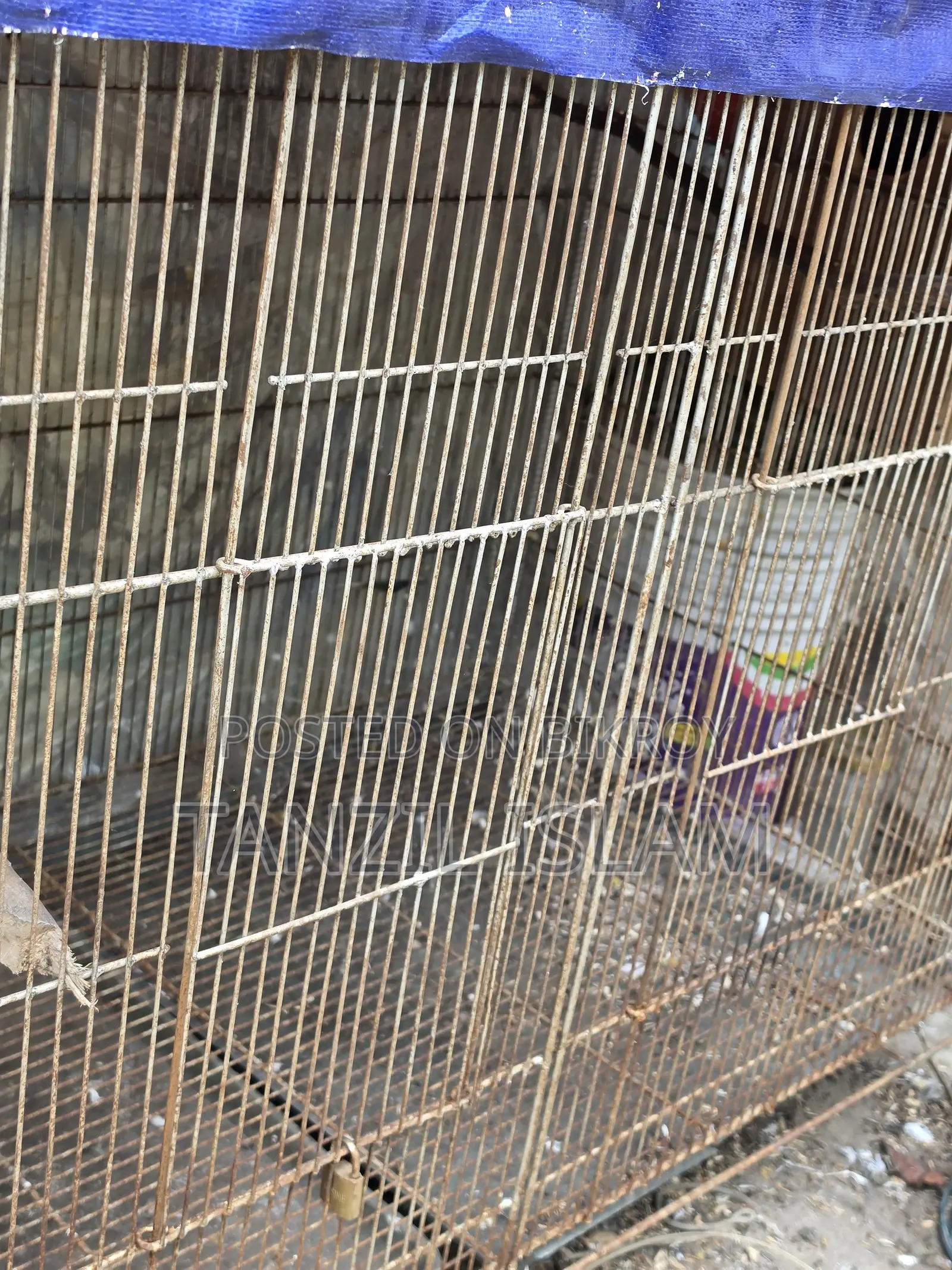 ৩ বাই ৪ ফিটের বড় পাখির খাঁচা 3x4 Ft Parrot Cage
