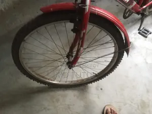 রানিং সাইকেল