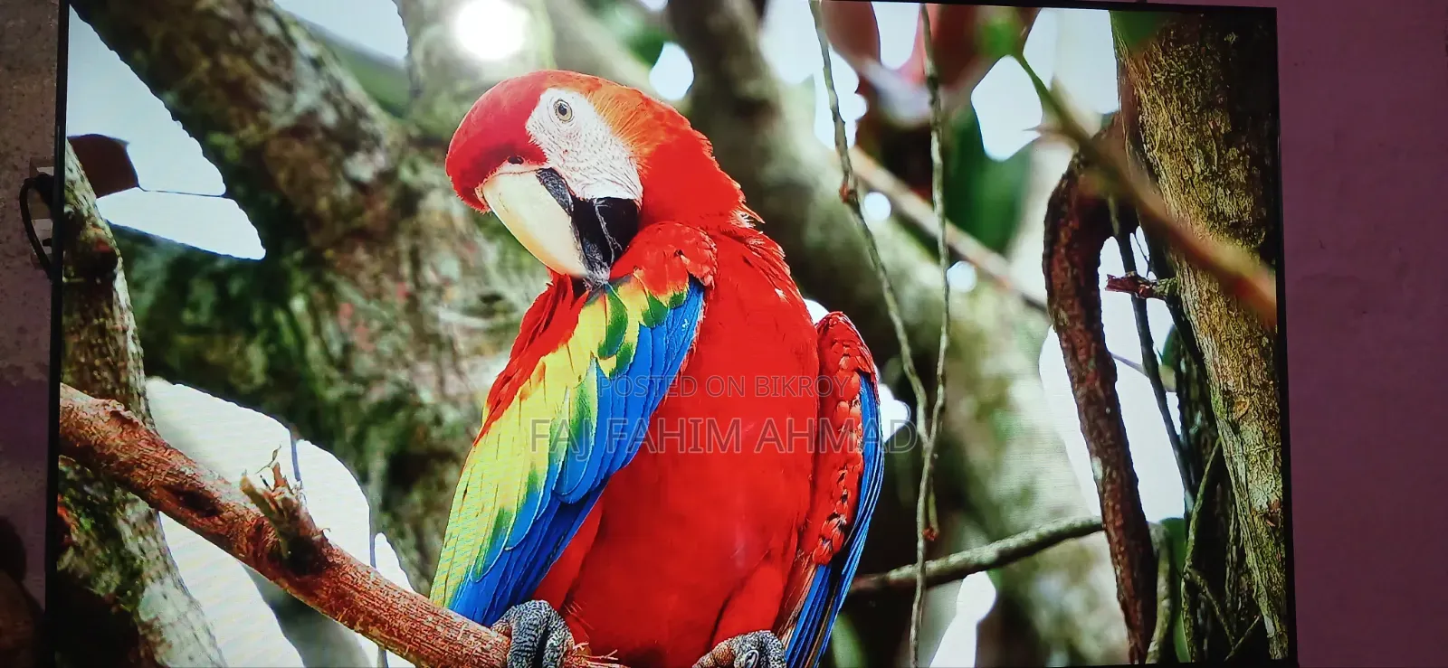 খুব ভালো একটা টিভি দেড় বছর ইউজ করেছি Fahim-Ahmad