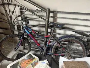 Bicycle (Fixed Price)