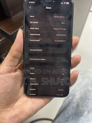 Apple iPhone 11 Pro Max 256 GB Gray