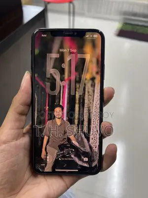 Apple iPhone 11 Pro Max 256 GB Gray